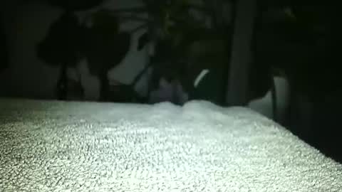 Luke online show from 04.17.26