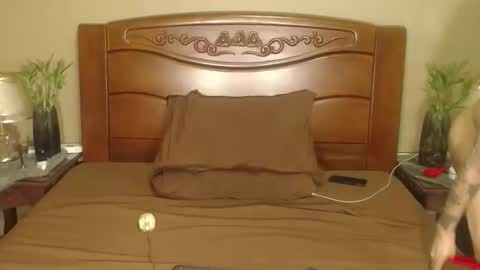 lulu_wild online show from 04.10.26