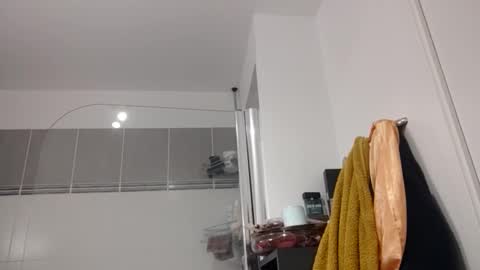 Snapshot of luluberlu042 chatting on 10.15.25 Ludo online show from 10.15.25