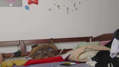 LUNA online show from 11.12.25