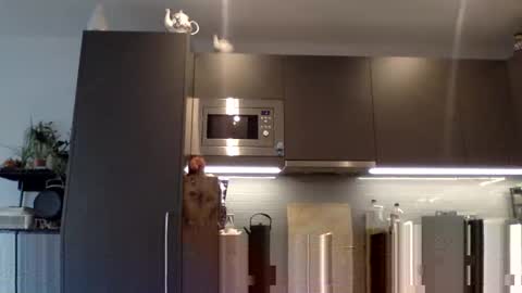 Lupine online show from 12.12.24