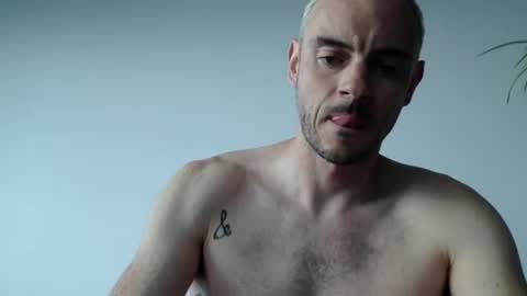 Lupine online show from 09.13.25