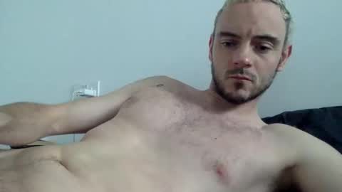 Lupine online show from 10.17.25