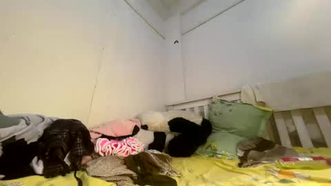 Luscious nita online show from 04.03.26