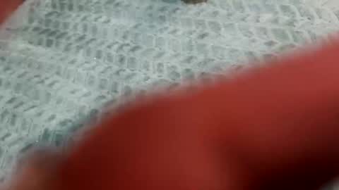 lust_4_daze online show from 02.20.26