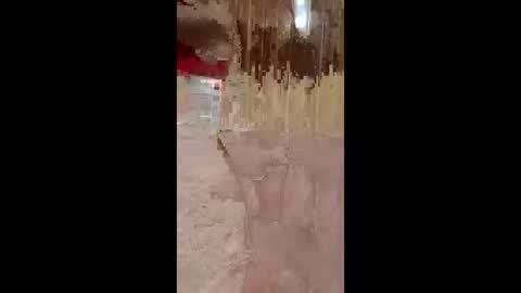 lustinaxxx online show from 12.14.25