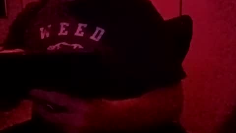 Luv2tokNstrok online show from 11.03.25