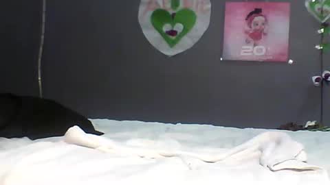 Bee Bee online show from 02.22.26