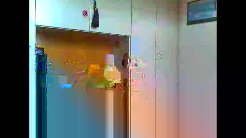 luxx72boy online show from 01.11.25