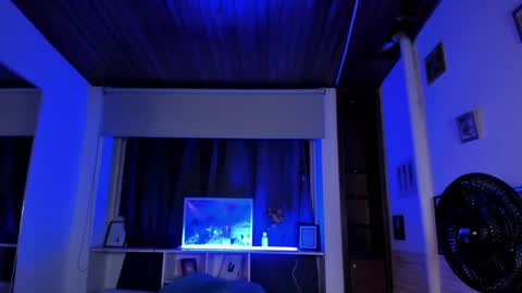 Snapshot of lyssa_muller chatting on 01.14.25 Lyssa Everyday From 0700 to 1630 Col Time online show from 01.14.25