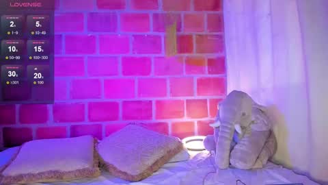   online show from 02.13.25