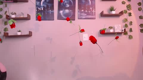 Macey Elliot Modelo Independiente online show from 03.01.25