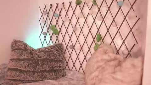 Noah Askew online show from 11.28.25