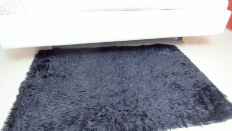 Madame Carla  online show from 04.06.26