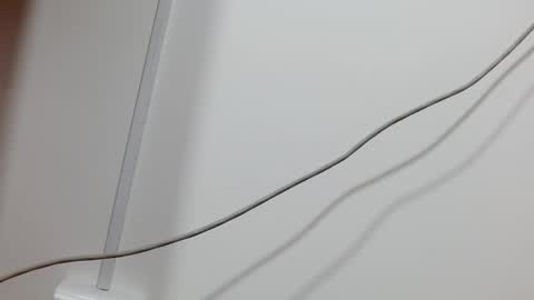 Maddy UwU online show from 12.21.24