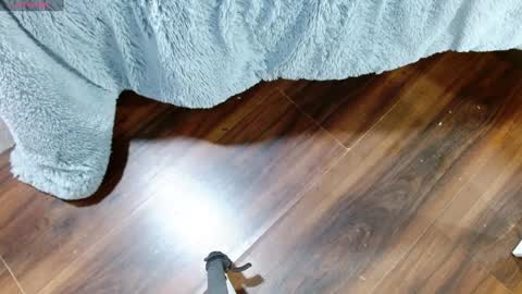 Maddy UwU online show from 01.28.25