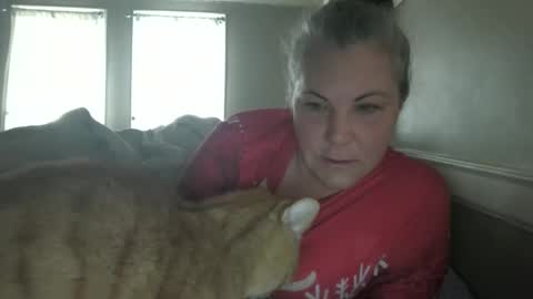 Madison online show from 12.04.25