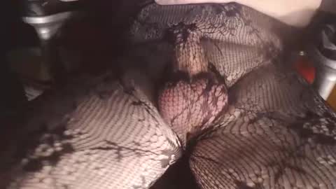 maestro2017 online show from 01.08.25