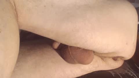 maestro2017 online show from 01.12.25