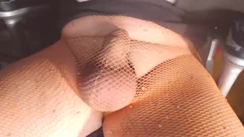 maestro2017 online show from 03.04.25