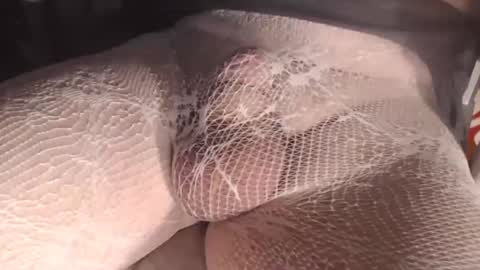 maestro2017 online show from 10.15.25