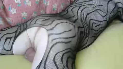 maestro2017 online show from 04.06.26