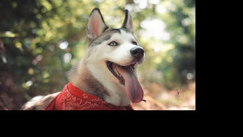 Snapshot of magic_katarina_ chatting on 01.25.25 magic_katarina_ online show from 01.25.25