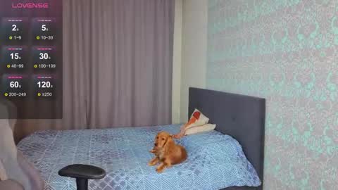 Snapshot of magic_shy chatting on 11.09.25 Merry online show from 11.09.25