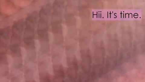 maitte_angel online show from 04.02.26