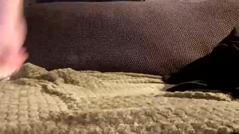 Snapshot of mako998843 chatting on 01.06.26 mako998843 online show from 01.06.26