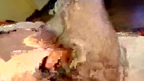 Snapshot of mako998843 chatting on 02.15.26 mako998843 online show from 02.15.26