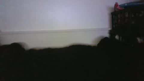 CommandbondageNipples bondage kink submissive lovense slave wgear. modequiethvyBondage If Password goldfish online show from 02.26.26