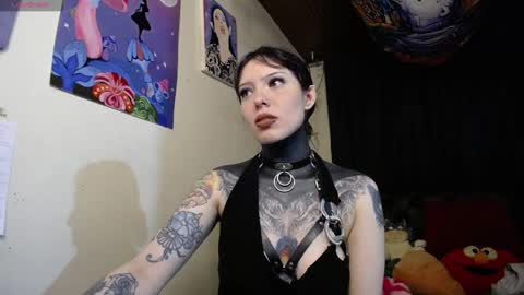 Snapshot of maliceinwonderland25 chatting on 12.13.24 Alice Asylum online show from 12.13.24