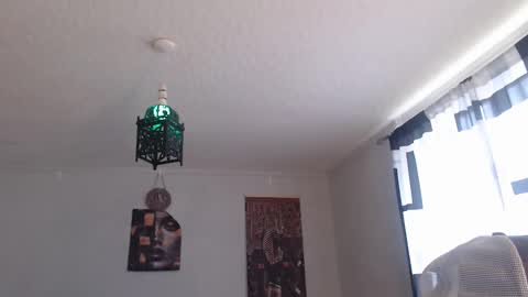 malvolamont online show from 03.08.26