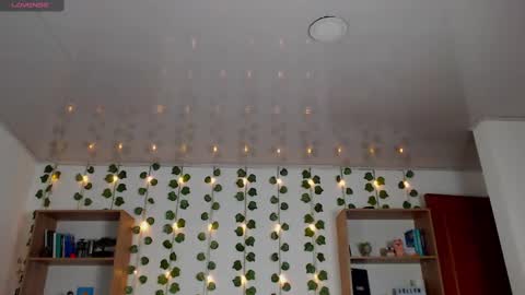 Snapshot of mangxx chatting on 03.03.25 Danny online show from 03.03.25