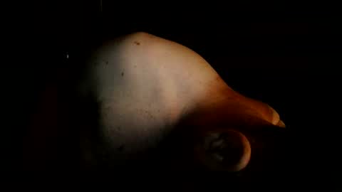 Snapshot of mantittsndick chatting on 08.02.26 guywittitsndick online show from 08.02.26