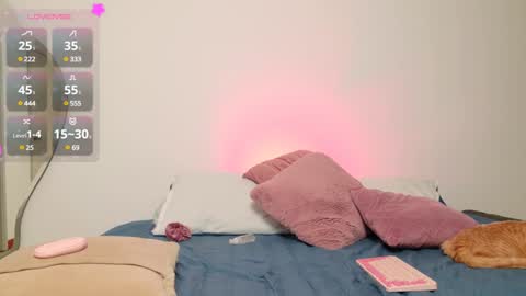     online show from 01.11.25