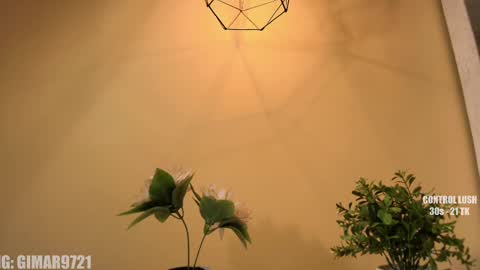 Marcela online show from 09.11.25