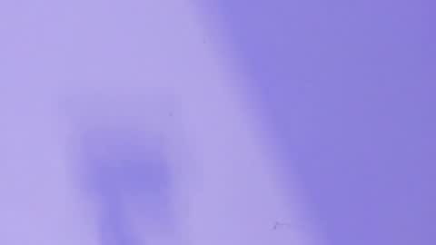 MARCELO online show from 01.26.25