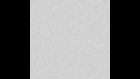 Marceline online show from 01.16.26