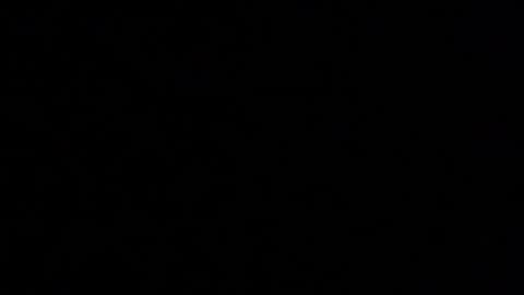 Elle online show from 11.15.25