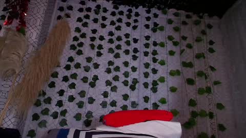 Snapshot of maria_rosse chatting on 01.30.25 Mara online show from 01.30.25