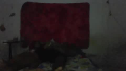 Snapshot of mariaevamotta5 chatting on 02.01.26 casal delicia online show from 02.01.26