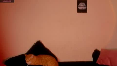 Snapshot of marianawlls chatting on 02.22.25 mariana williams online show from 02.22.25