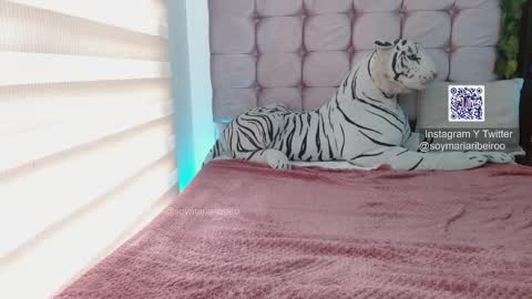 Snapshot of mariaribeiro chatting on 01.07.26 mariaribeiro online show from 01.07.26