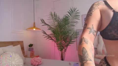 Snapshot of mariee_rosee chatting on 05.24.26 Mary online show from 05.24.26