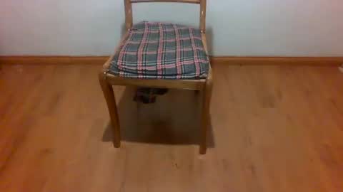 Maripaula369 online show from 02.22.25