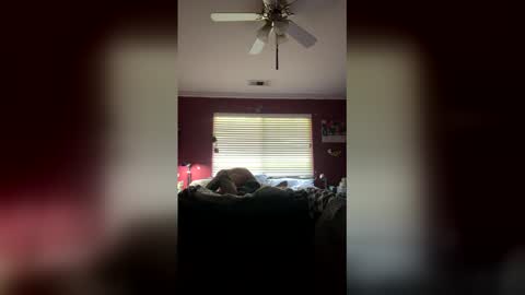 markcali87 online show from 02.20.26