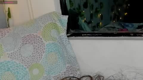 marly online show from 01.17.25