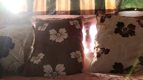 marocreda33 online show from 12.24.24